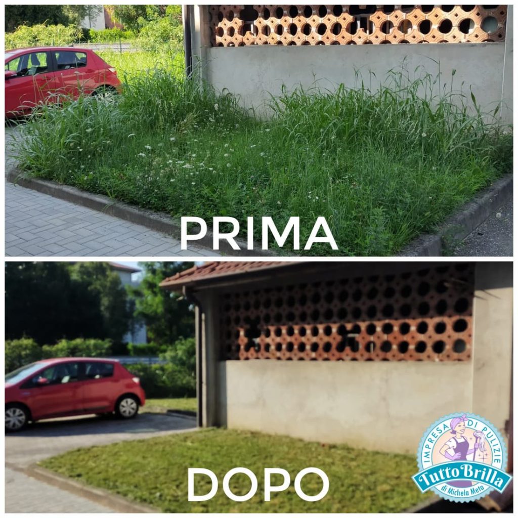 Giardinaggio condominiale a Villasanta: prima e dopo
